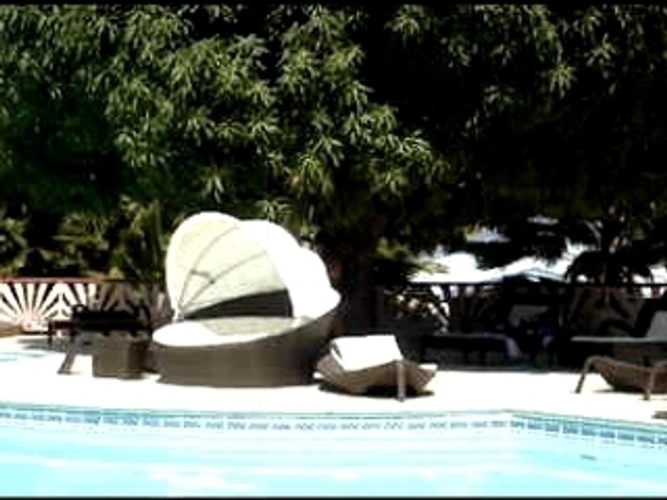 Eden_palm
