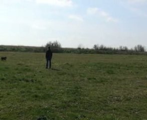 Caline dressage directions mars 2009