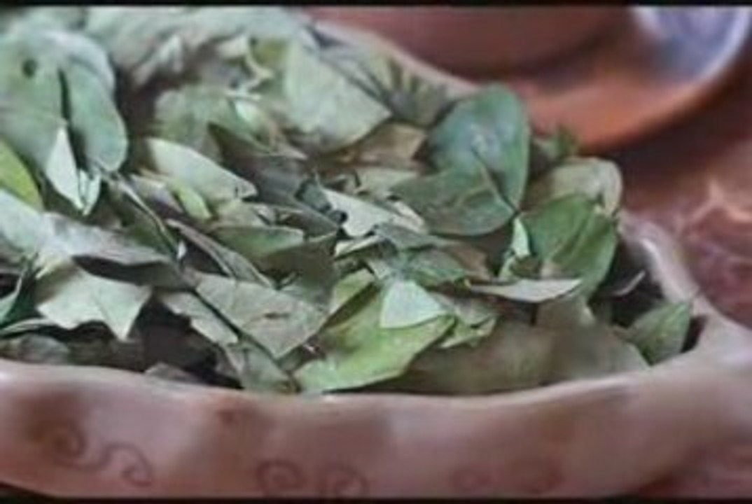 Immortal Technique - Peruvian Cocaine