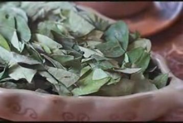 Immortal Technique - Peruvian Cocaine