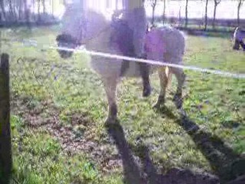 déplacement des hanches avec louloute