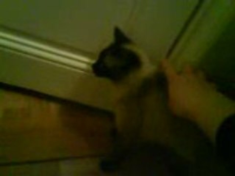 Documentaire animalier