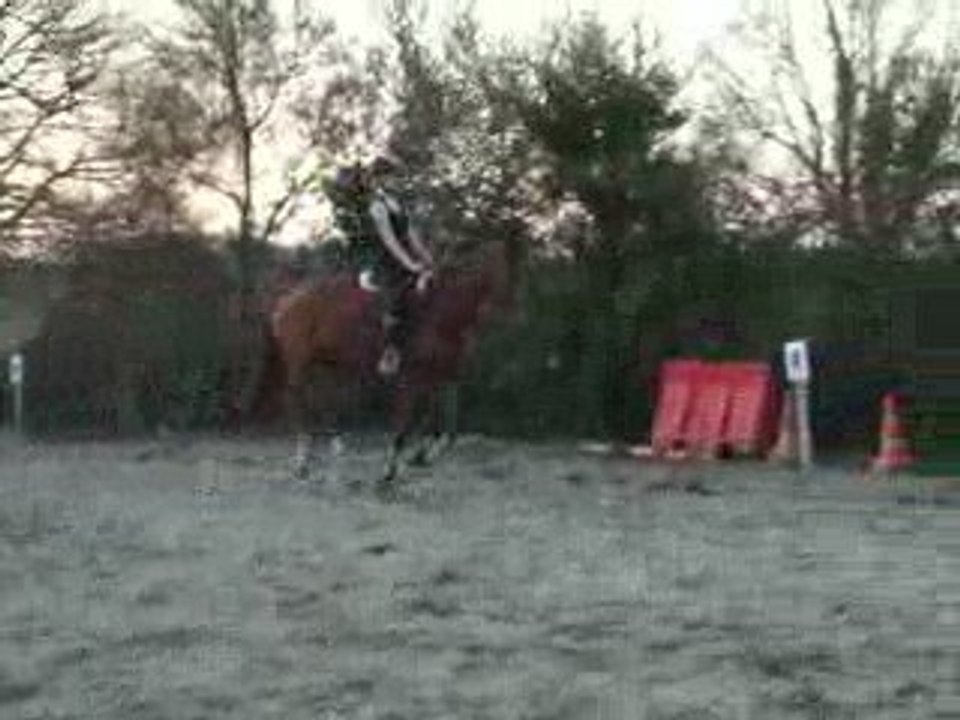 DSCF3406