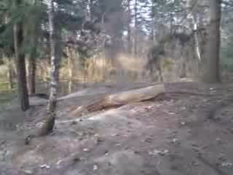 Sorti Moto