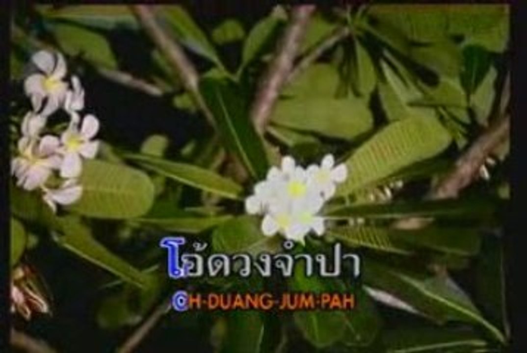Duang Jum Pah - Orawee Sujjanon.