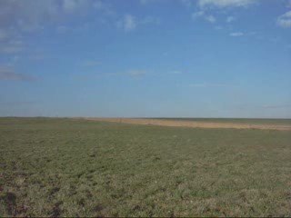 19 mars galop en balade