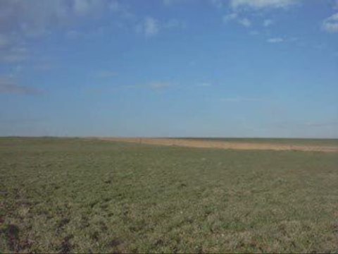 19 mars galop en balade