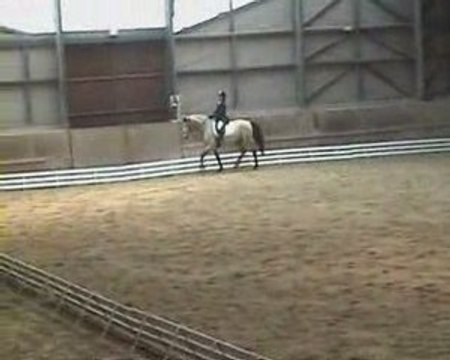 Dressage au CHA Carole-Quéré