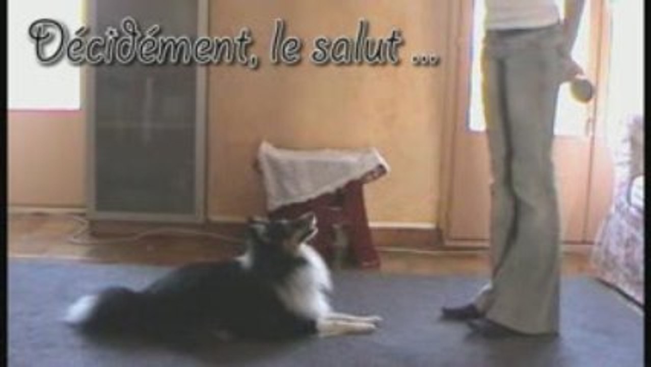 Chubby obérythmée, sans gestes, au jouet (versioncourte)