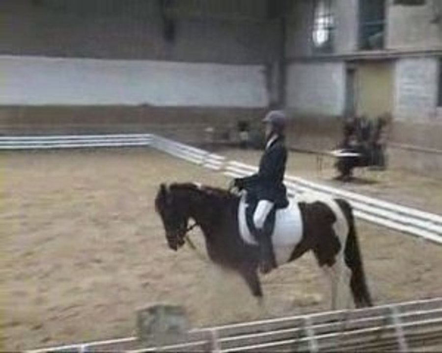 Dressage au CHA Carole-Quiera