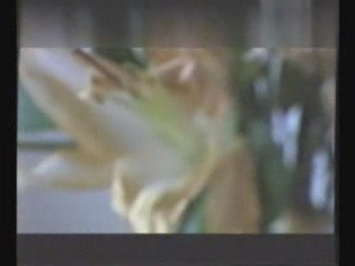 Indice de maldad-mujeres asesinas