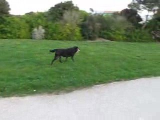 Lallie, parc des Pères Minimes, 18 mars 2009