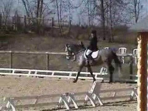 Concours Dressage Armelle 190309