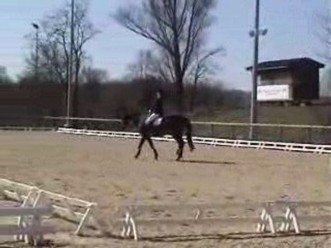 Concours Dressage Sophie 190309