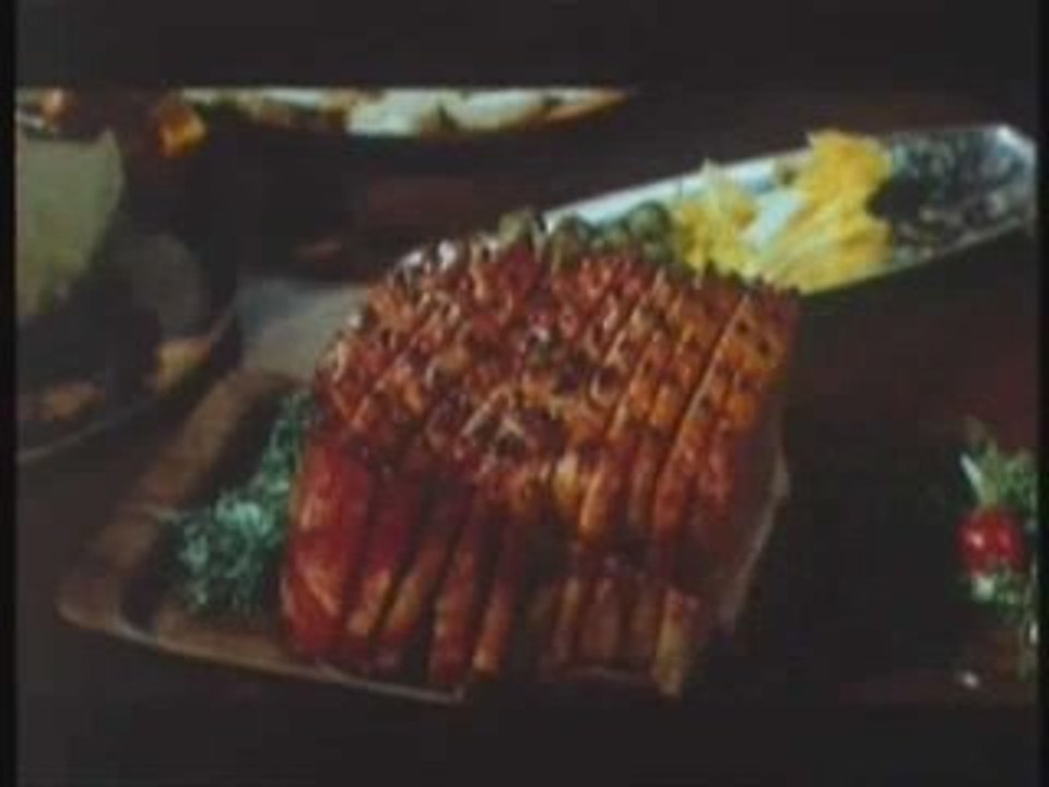 Elections Européenne Europe-Ecolo-Zap avec Cohn-Bendit