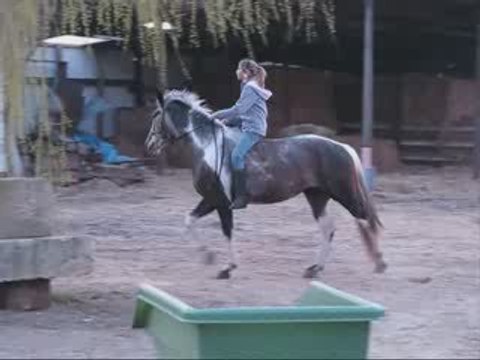 Qayenne - Licol Séance 1