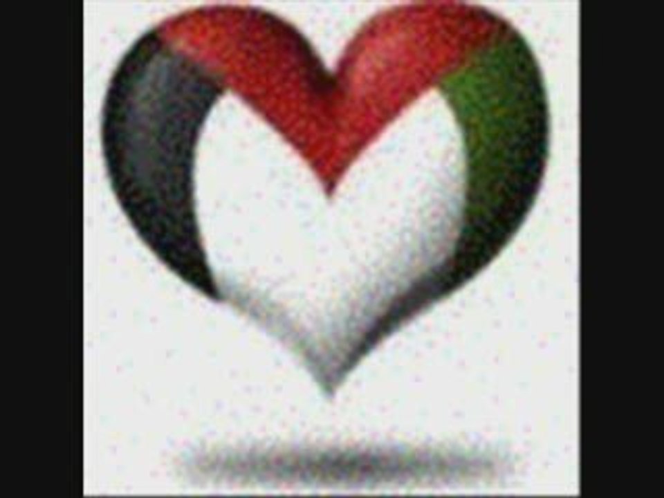 ***Palestine 9 entre murs et colonies****