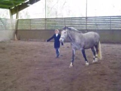 ma princesse et son cheval (dressage)