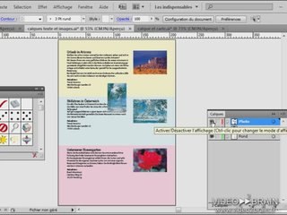 Adobe Illustrator CS4 : Déplacement des objets et des calque
