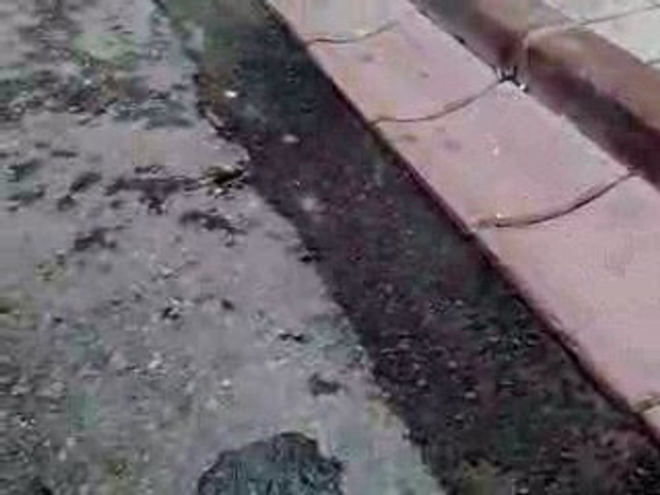 Bayburtlu Cemal Kurt Eksozlu Şahin'i Yazarsa