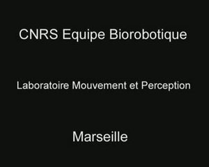 Flying Robot OCTAVE 2001-2004 CNRS /Univ. Aix-Marseille