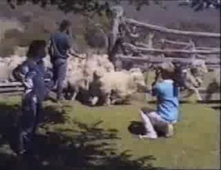 Çekma Lan