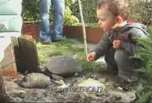 0021 et les tortues
