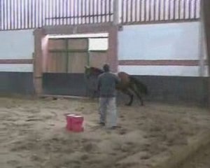 Tamise du Dojo - Mars 2009