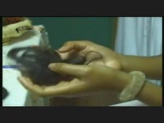 les elixirs d'amour partie 2 (rta)