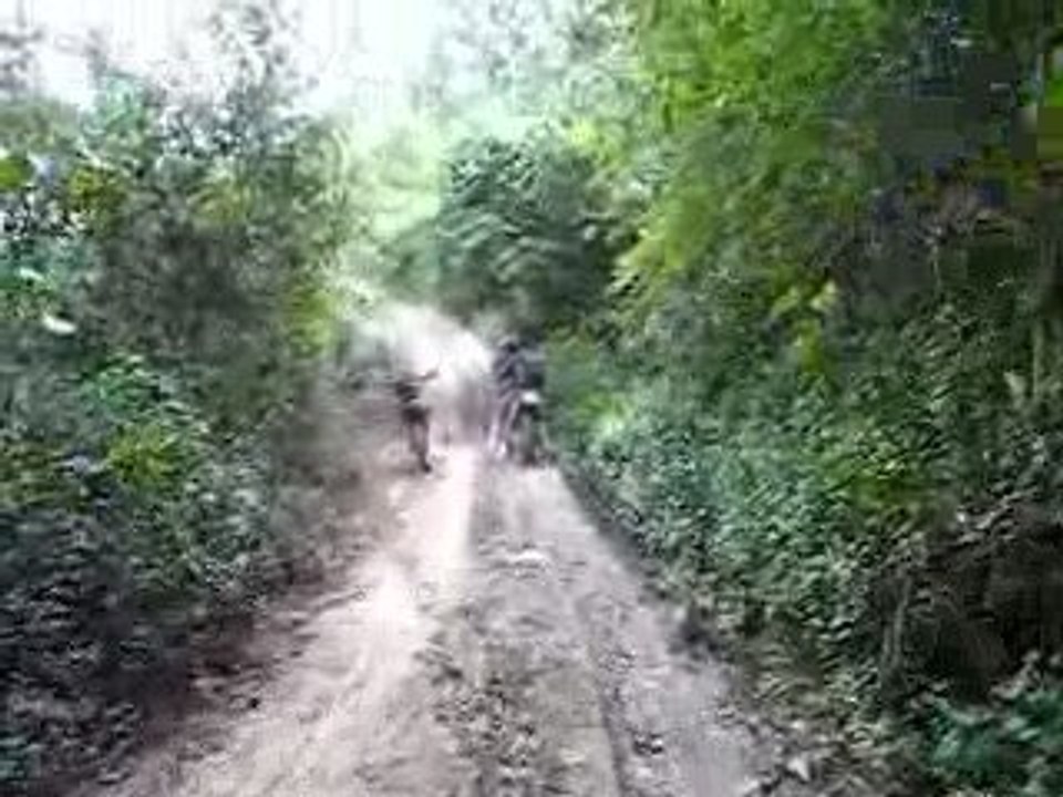 catpat thailande moto J2 07