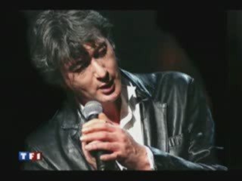 L 'ADIEU A ALAIN BASHUNG
