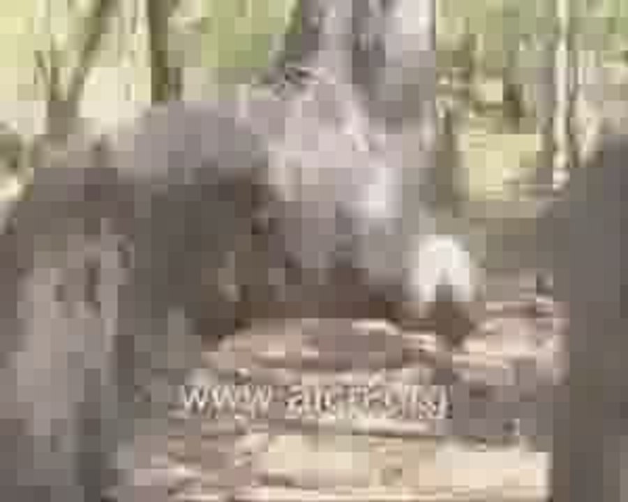 L'arbre se prosterne soubhanallah