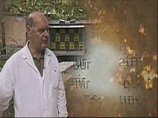 extrait de "La disparition des abeilles, la fin du mystère"