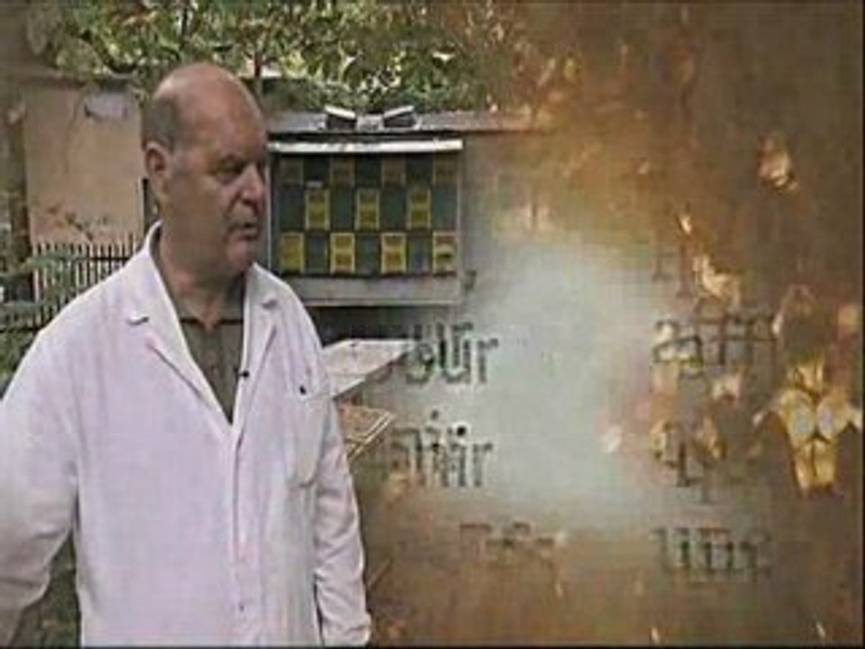 extrait de "La disparition des abeilles, la fin du mystère"