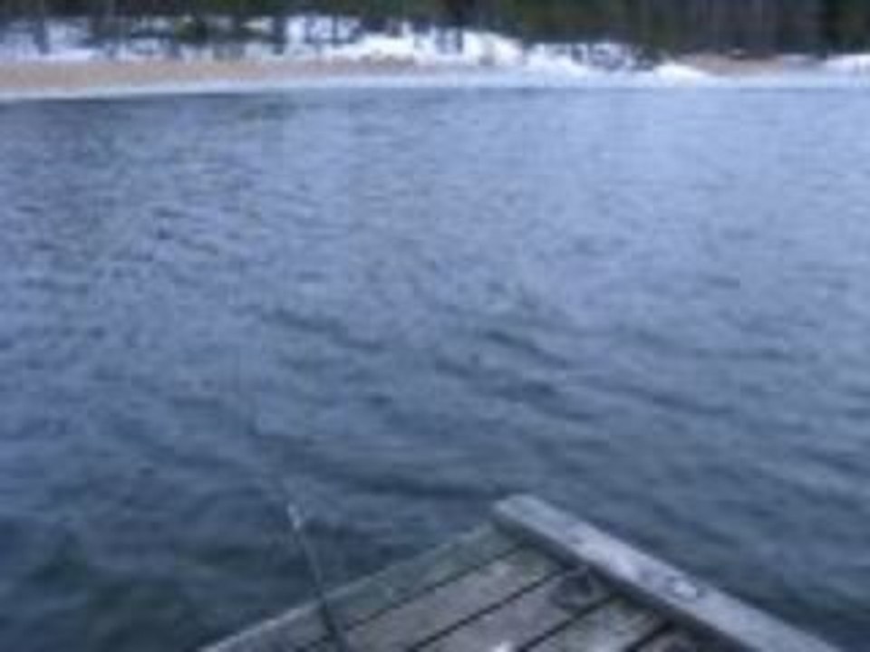 Bugunku balik avim VIDEO 20.03.2009 002