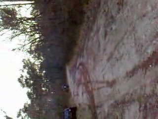dirt