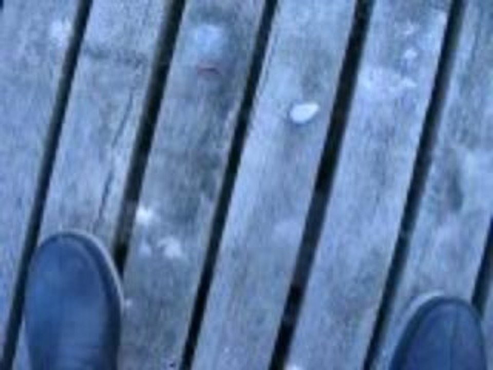 Bugunku balik avim VIDEO 20.03.2009 003