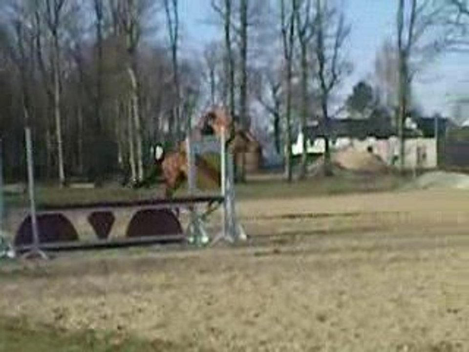 magica mars 2009 n 2