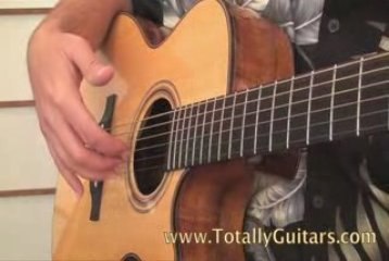 Learn To Play House Of the Rising Sun