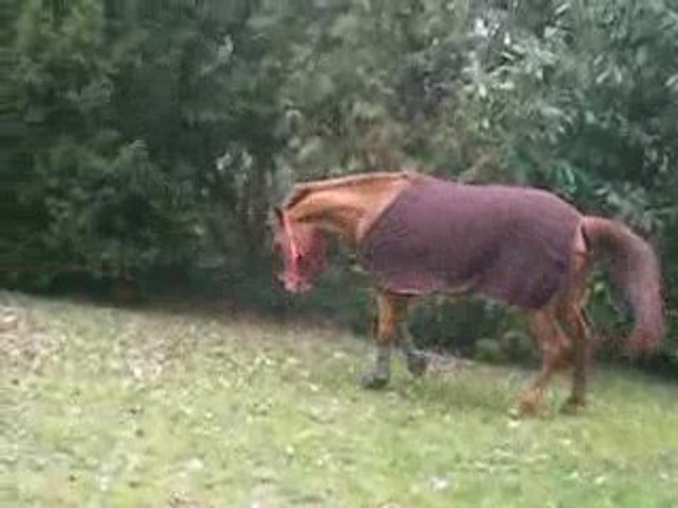 Lucie&Claire&Orianne dans le jardin 26 fevrier 2009 128