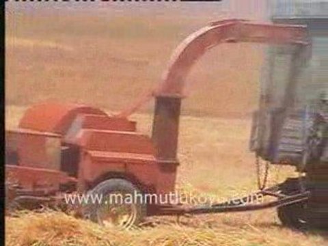 MAHMUTLU KOYU 2008 GORUNTULERI: PATOZ