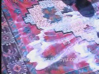 MAHMUTLU KOYU 2008 GORUNTULERI:HALI