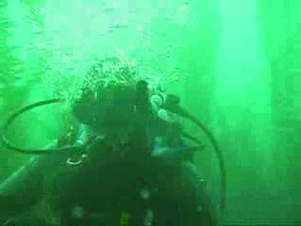 Enormous Halibut scares the Scuba Diver Girls!
