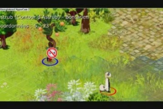 [Dofus] imPulSion.nOciv` - Ecaflip Feu