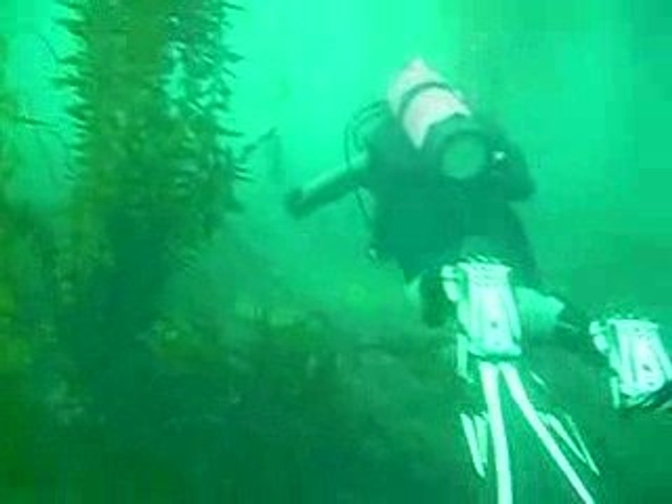 Scuba Diver Girl Steph says no no no