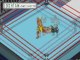 Fire Pro Wrestling Battles - The Rock vs Hulk Hogan