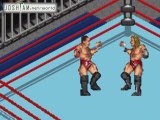 Fire Pro Wrestling Battles - HHH vs Randy Orton