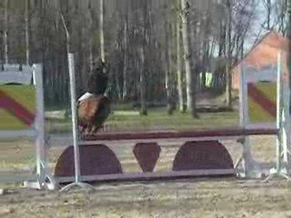 magica mars 2009 n 5