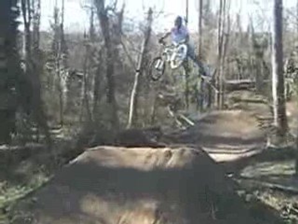 Andres Good tail wip