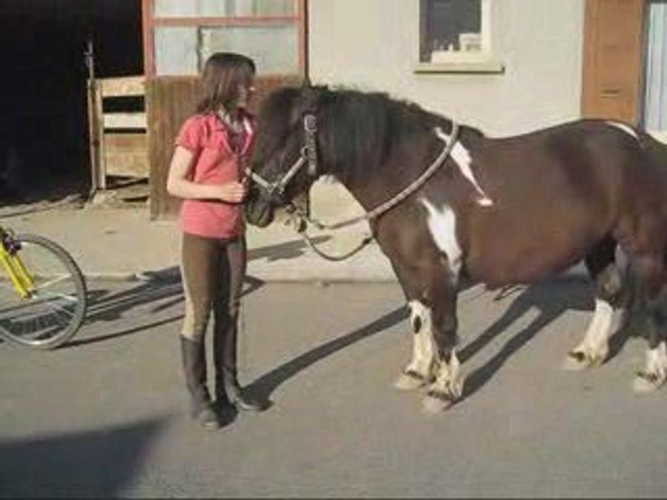 Ladyjambette_0001